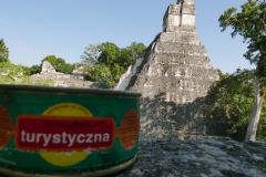 Konserwa w Tikal