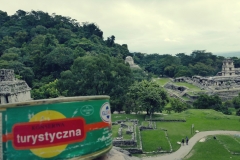 Konserwa w ruinach w Palenque